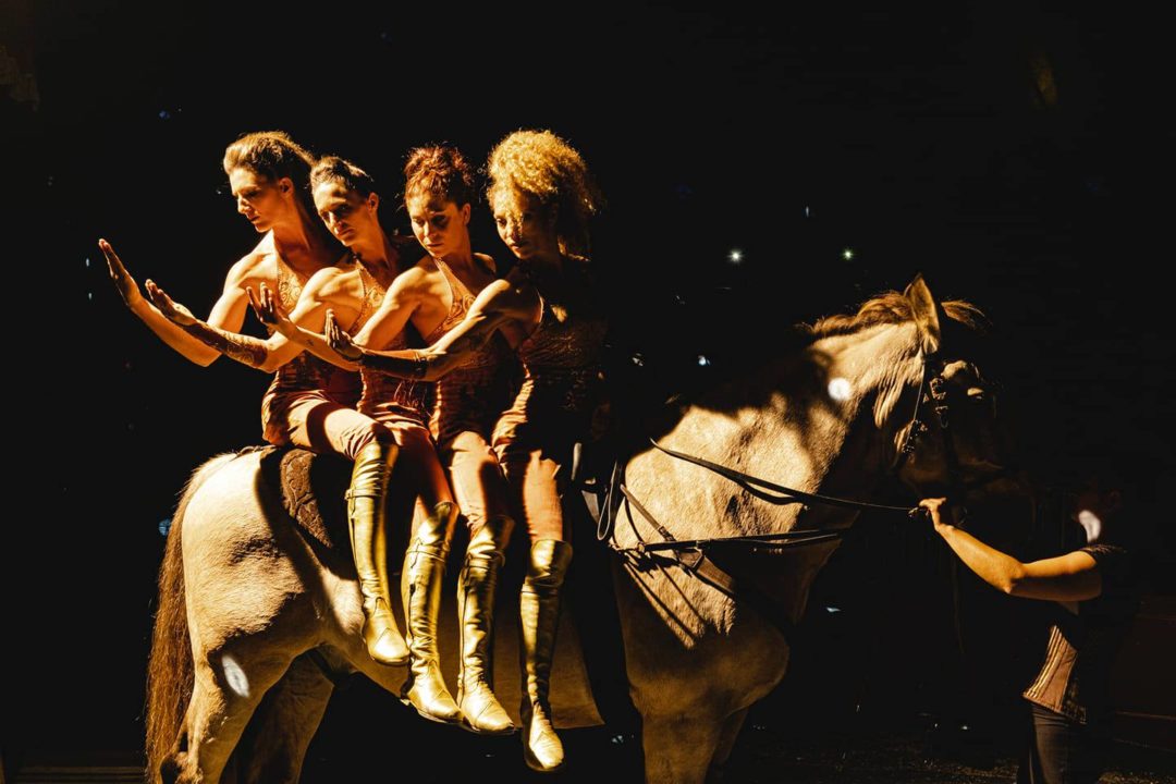 4 acrobates de Nagaïka Tribeà cheval au début de leur numéro de cirque équestre costumes Aline Perros